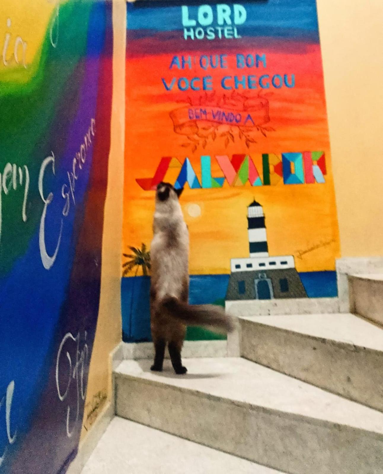 Lord Hostel Салвадор Екстериор снимка